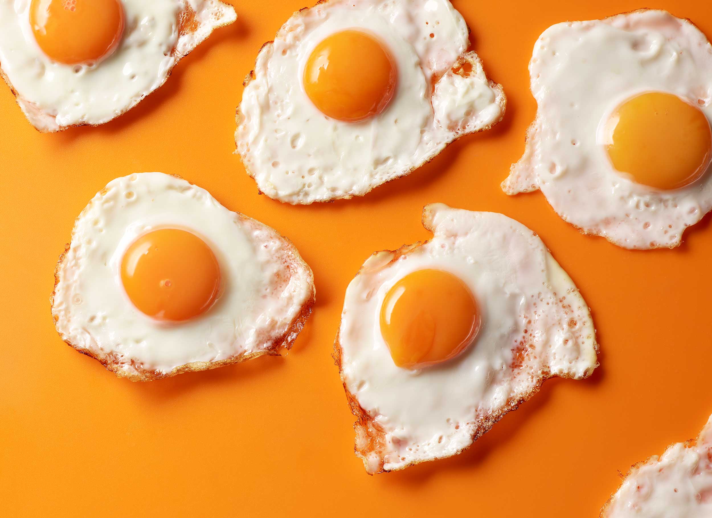 Waitrose-Eggs-APR_opener-sara-morris-photography